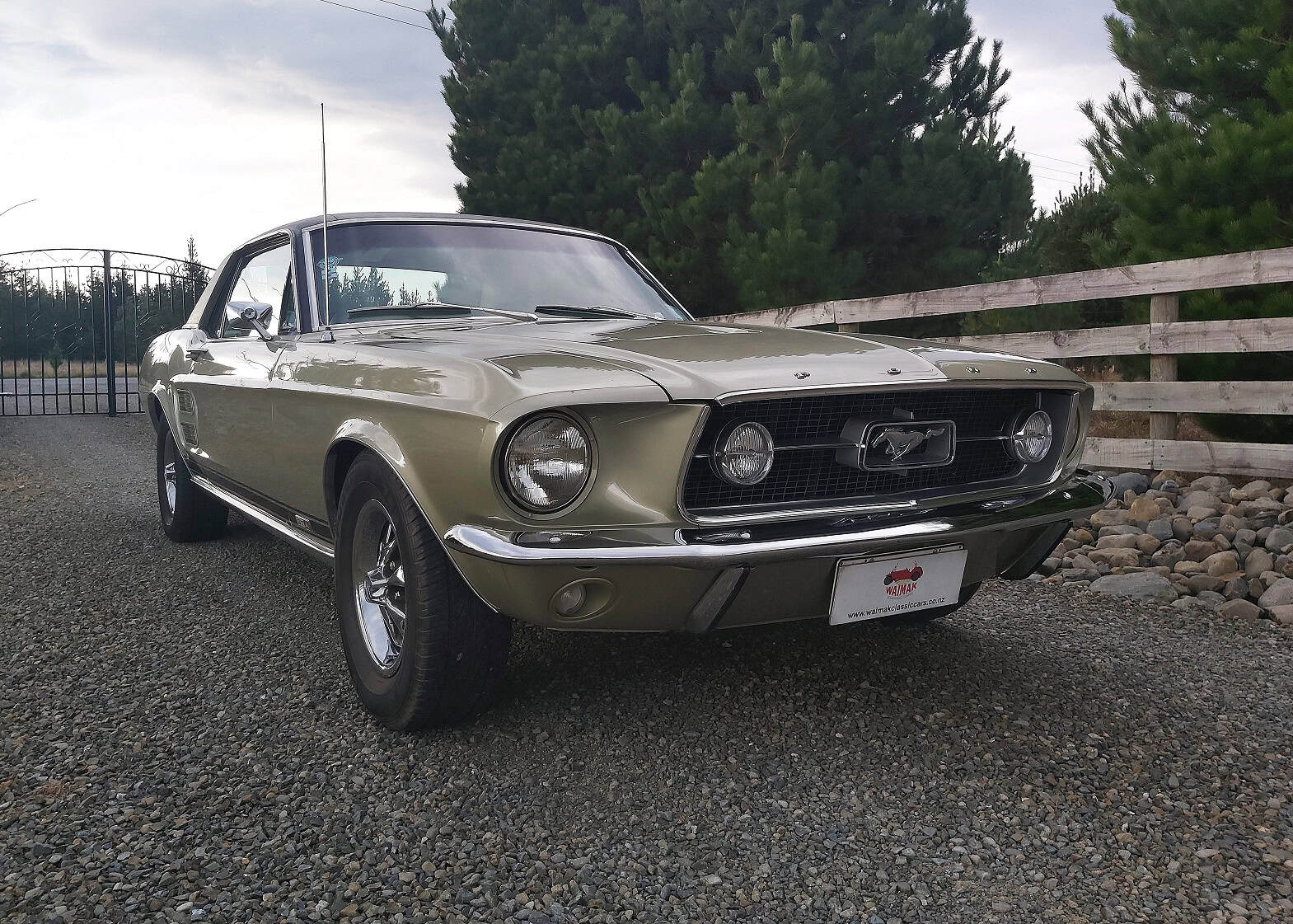 1967 Ford Mustang GTA V8 - Waimak Classic Cars